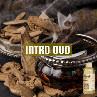 Intro Oud | Aroma Yağı Yedek Kartuşu 125ml³
