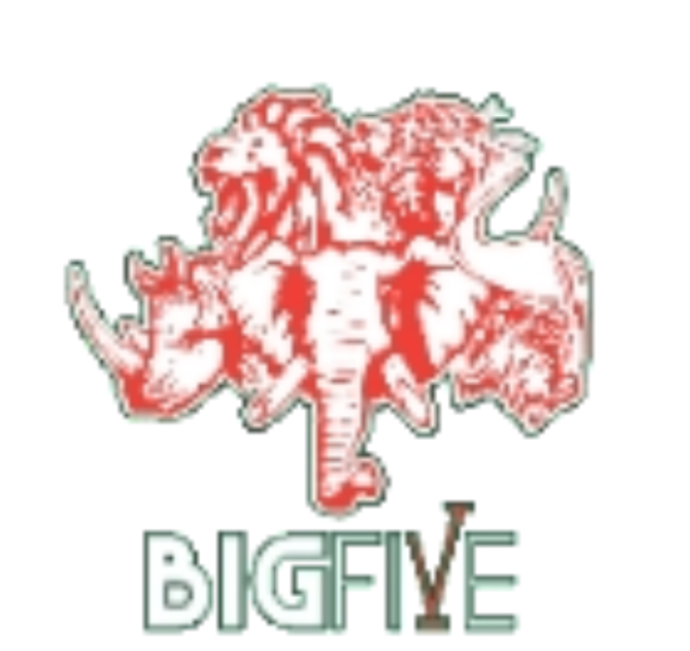 BIGFIVE KİMYA SAN VE DIŞ TİC. A.Ş.