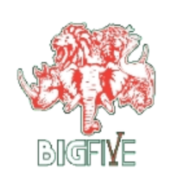 BIGFIVE KİMYA SAN VE DIŞ TİC. A.Ş.