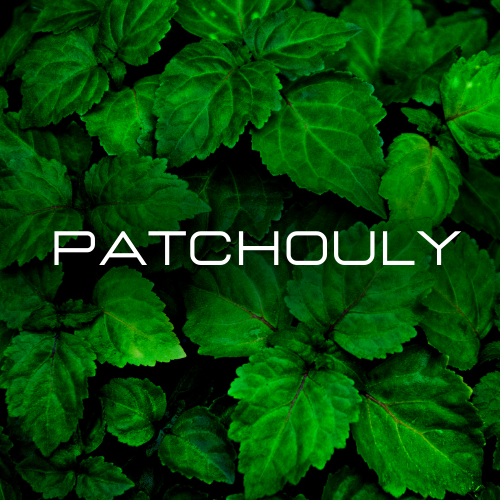 PATCHOULY