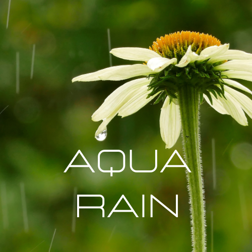 AQUA RAIN