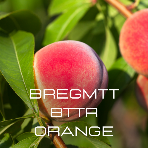 BRGMTT BTTR ORANGE 91