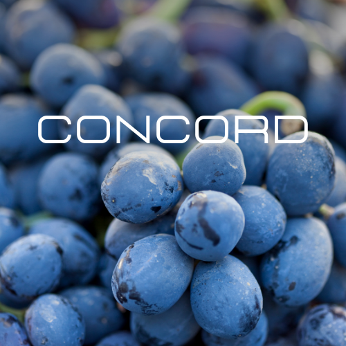 CONCORD