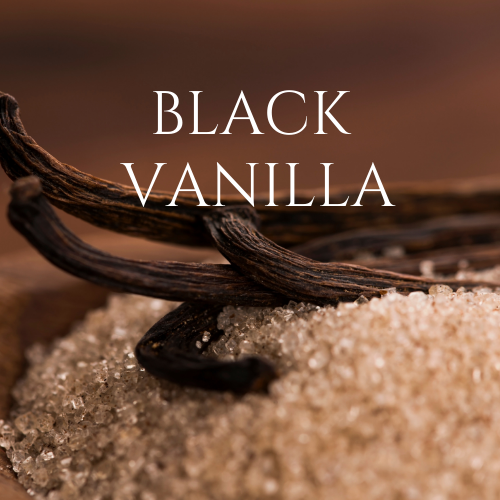 BLACK VANILLA