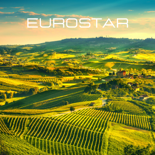 Eurostar | Aroma Oil Refill Cartridge 125ml³