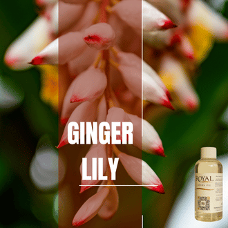 Ginger & Lily | 125ml³ Diffuser Oil