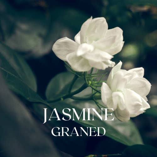 Jasmine Garden | Aroma Yağı Yeniden Dolum Kartuşu 125ml³