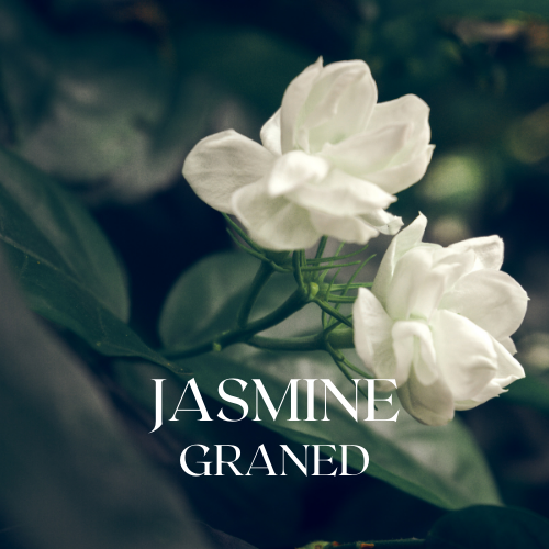 Jasmine Garden| Aroma Oil Refill Cartridge 125ml³