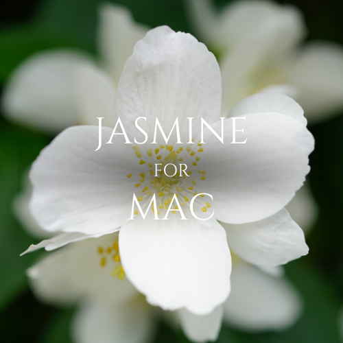 White Jasmin For Mac | Aroma Yağı Yeniden Dolum Kartuşu 125ml³