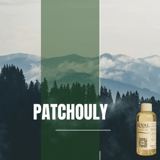Patchouly | Aroma Yağı Yeniden Dolum Kartuşu 125ml³