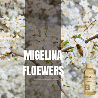 Miglina Flowers | Aroma Yağı Yeniden Dolum Kartuşu 125ml³