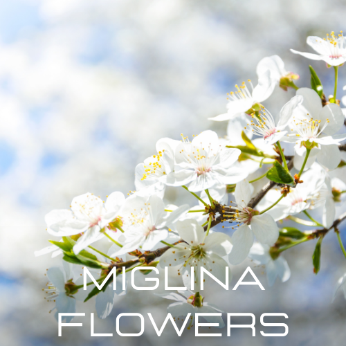 Miglina Flowers | Aroma Yağı Yeniden Dolum Kartuşu 125ml³