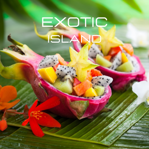 Exotic Island | Aroma Yağı Yeniden Dolum Kartuşu 125ml³