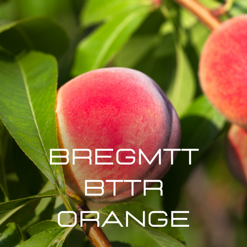 Bragmate Butter Orange 91 | Aroma Oil Refill Cartridge 125ml³