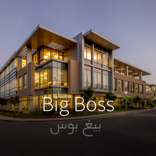 Big Boss | Aroma Oil Refill Cartridge 125ml³