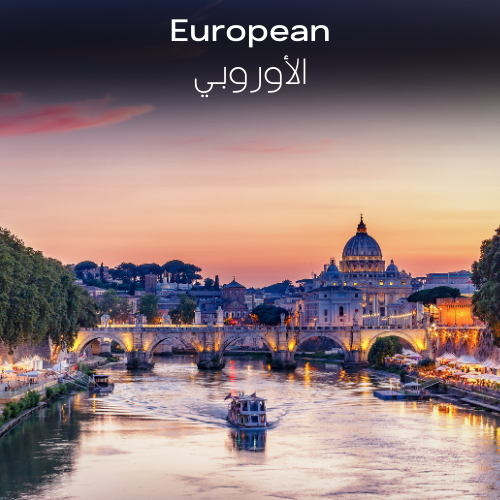 European | Aroma Yağı Yeniden Dolum Kartuşu 125ml³