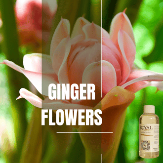 Ginger Flower | 125ml³ Diffuser Oil