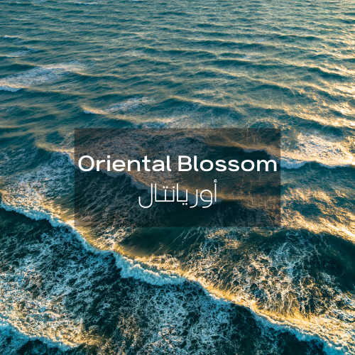 Oriental Blossom | Aroma Oil Refill Cartridge 125ml³