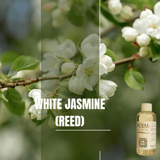 White Jasmine (Reed) | Aroma Yağı Yeniden Dolum Kartuşu 125ml³