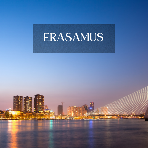 ERASAMUS | Aroma Yağı Yeniden Dolum Kartuşu 125ml³