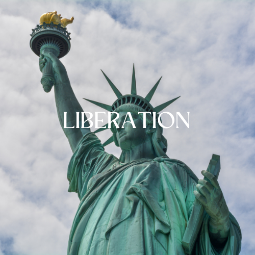 LIBERATION | Aroma Oil refill Cartridge 125ml³