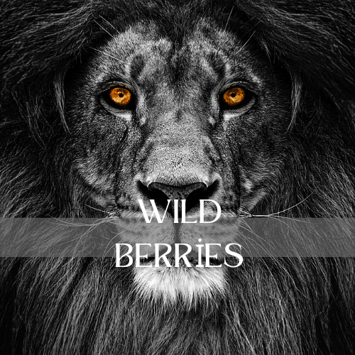 Wild Berries | Aroma Oil Refill Cartridge 125ml³