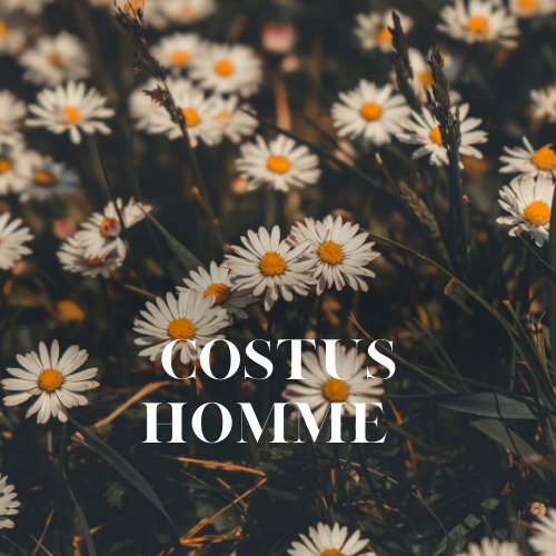 Costus Homme | Aroma Oil Refill Cartridge 125ml³