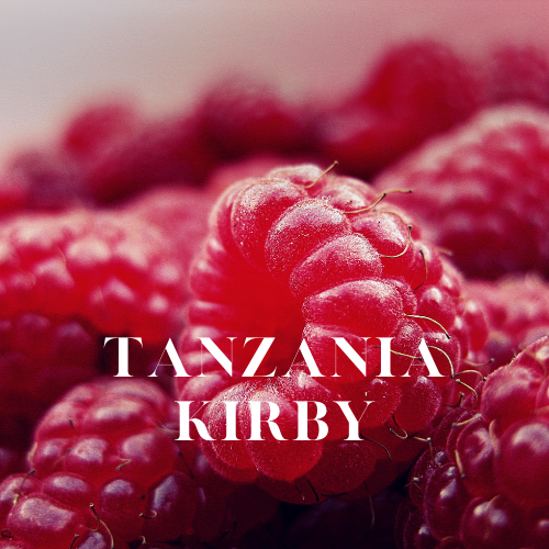 Tanzania Kirby | Aroma Oil Refill Cartridge 125ml³