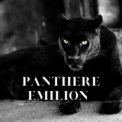 Panthere Emilion | 125ml³ Diffuser Oil
