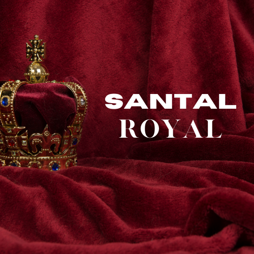 Santal Royal | Aroma Yağı Yeniden Dolum Kartuşu 125ml³