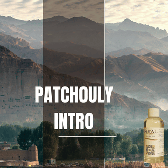 Patchouly Intro | 125ml³ Diffuser Oil
