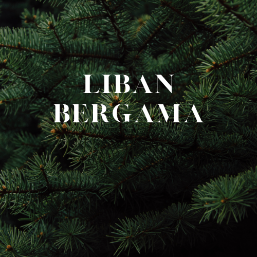 Liban Bergama | Aroma Oil Refill Cartridge 125ml³