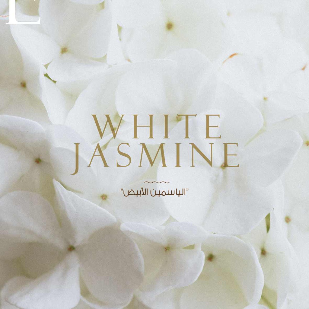 White Jasmine (Reed) Fragrant Oil