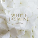 White Jasmine Fragrant Oil
