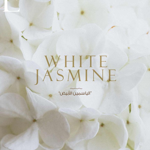 [RSLTR-4518511] White Jasmine (Reed) Fragrant Oil