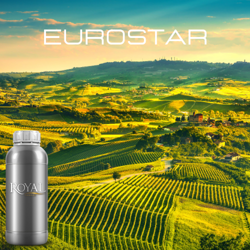 Eurostar | Diffuser Oil Ltr