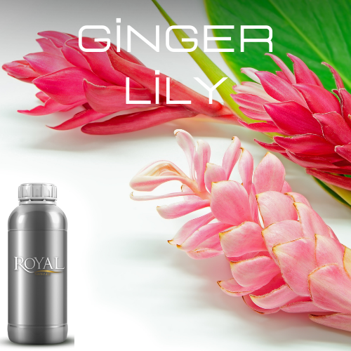 Ginger & Lily| Diffuser Oil Ltr