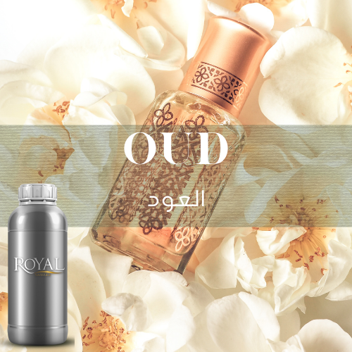 Oud | Diffuser Oil Ltr