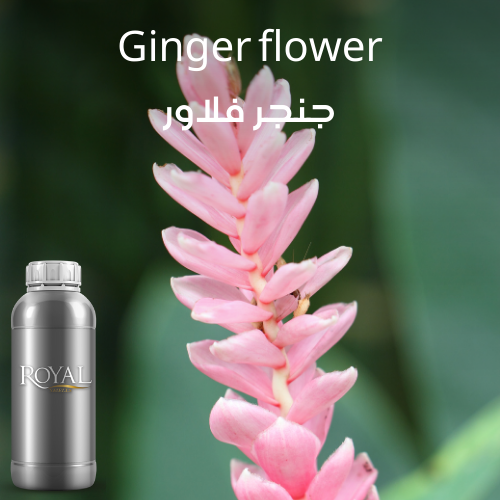 Ginger Flower | Diffuser Oil Ltr