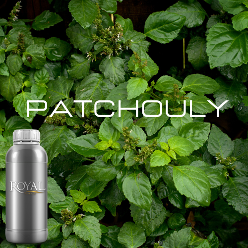 Patchouly | Diffuser Oil Ltr