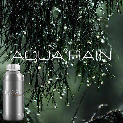 Aqua Rain | Diffuser Oil Ltr