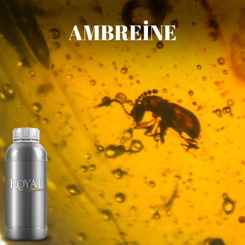 Ambreine | Diffuser Oil Ltr