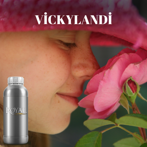 Vickyland| Diffuser Oil Ltr