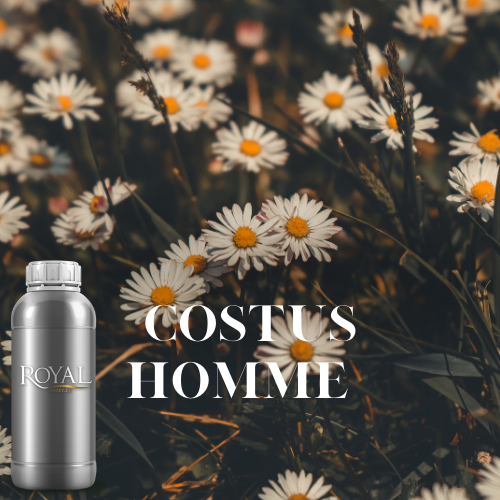 Costus Homme | Ltr Diffuser Oil