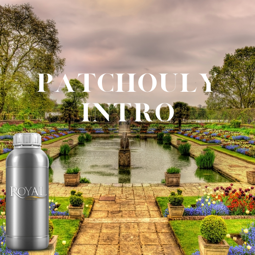 Patchouly Intro | Ltr Diffuser Oil