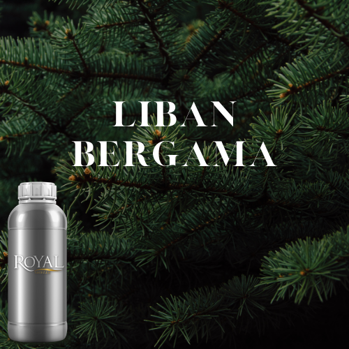 Liban Bergama | Ltr Diffuser Oil