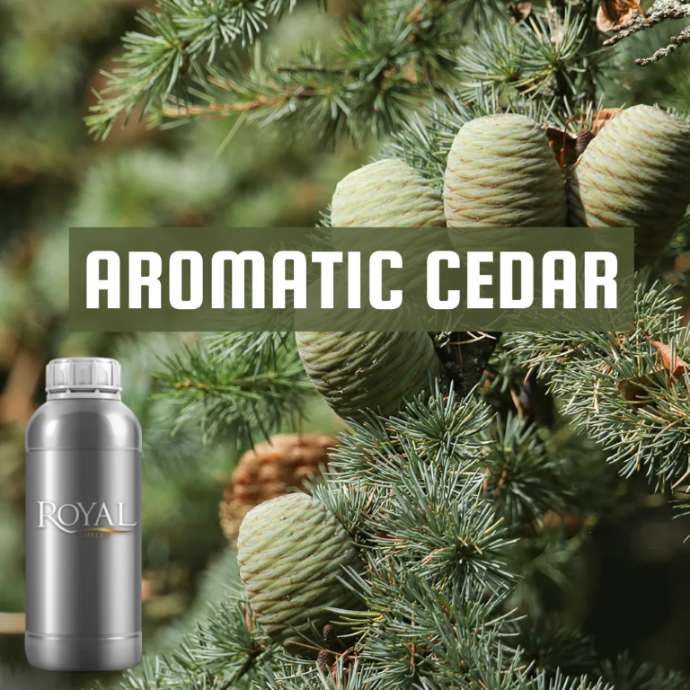 Aromatic Cedar | Ltr Diffuser Oil