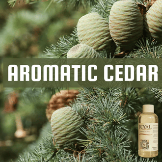Aromatik Sedir | Aroma Yağı Yeniden Dolum Kartuşu 125ml³