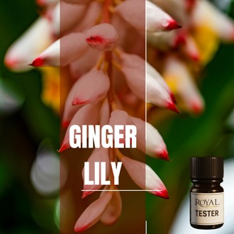 Ginger & Lily | 5ml³ Diffuser Tester