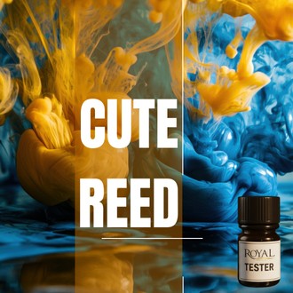 Cute Reed | 5ml³ Diffuser Tester